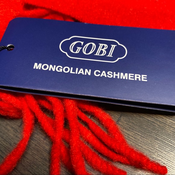 GOBI Accessories Gobi Premium Mongolian Cashmere Scarf Poshmark